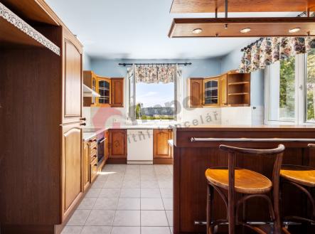 Prodej - dům/vila, 365 m²