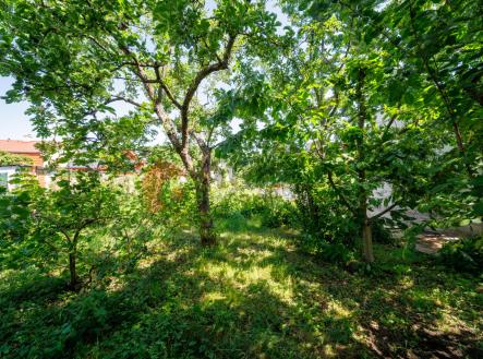 Prodej - pozemek pro bydlení, 556 m²