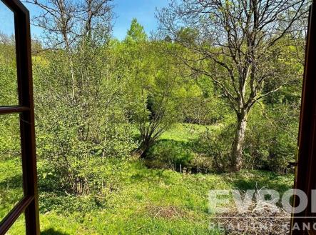 Výhled z okna na zelenou zahradu s rozlehlým trávníkem a vzrostlými stromy, ideální pro milovníky přírody a klidného bydlení. | Prodej - dům/vila, 350 m²