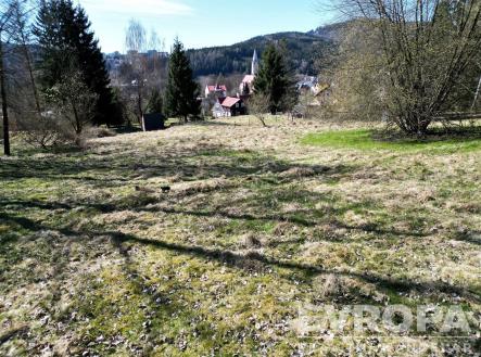. | Prodej - pozemek pro bydlení, 7 881 m²