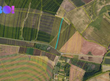 snimek-obrazovky-2025-05-22-v-9.03.32.png | Prodej - pozemek, zemědělská půda, 7 166 m²