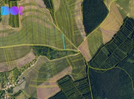 snimek-obrazovky-2025-05-22-v-9.03.46.png | Prodej - pozemek, zemědělská půda, 7 166 m²