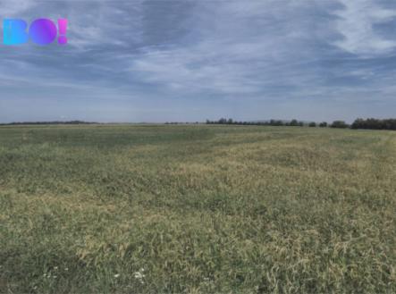 2089-foto.jpg | Prodej - pozemek, zemědělská půda, 9 400 m²