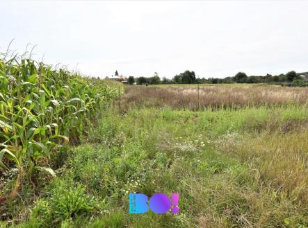 2-poz.jpg | Prodej - pozemek pro bydlení, 5 182 m²