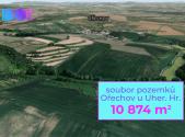 Prodej - pozemek, zemědělská půda, 10 874 m²