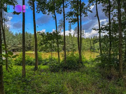 img-5928.jpg | Prodej - pozemek pro bydlení, 3 959 m²