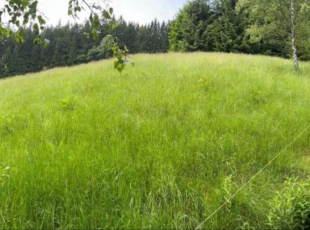 obrazek-whatsapp-2024-10-01-v-15-00-12-2417154c.jpg | Prodej - pozemek, les, 2 393 m²