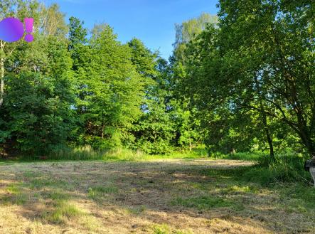 20240520-182543.jpg | Prodej - pozemek pro bydlení, 1 999 m²