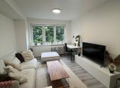 Pronájem bytu, 2+kk, 54 m²