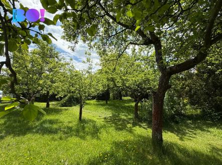 img-1977.jpeg | Prodej - pozemek pro bydlení, 1 390 m²