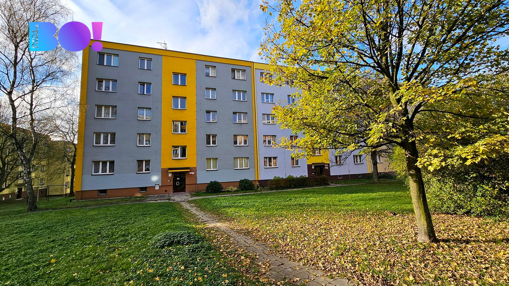 20231113-131758.jpg