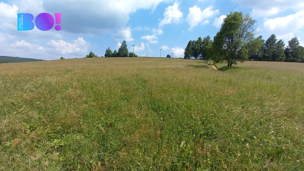 krizanky-7.jpg