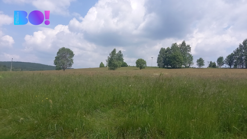 krizanky-1.jpg