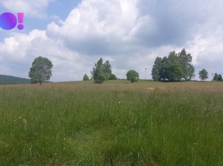 krizanky-1.jpg | Prodej - pozemek, zemědělská půda, 5 336 m²