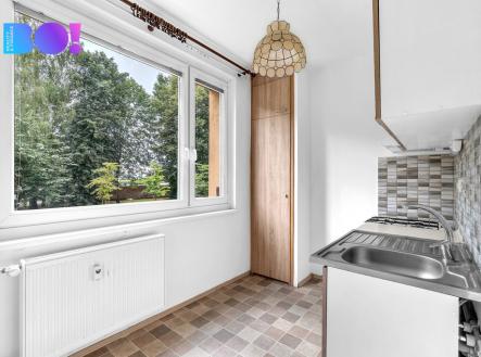 dsc05960-kopie.jpg | Pronájem bytu, 1+1, 40 m²