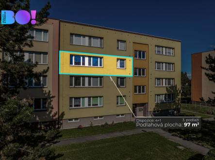 paskov-grafika.jpg | Prodej bytu, 4+1, 97 m²