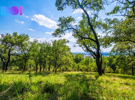 dji-0657.jpeg | Prodej - pozemek, zahrada, 2 632 m²