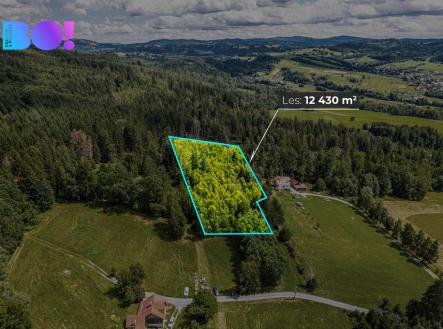 pisek-grafika-i.jpg | Prodej - pozemek, les, 12 430 m²