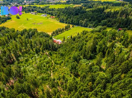 dji-0818.jpg | Prodej - pozemek, les, 12 430 m²