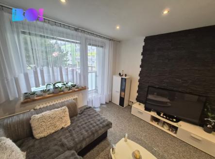 f10.jpg | Prodej bytu, 1+1, 43 m²