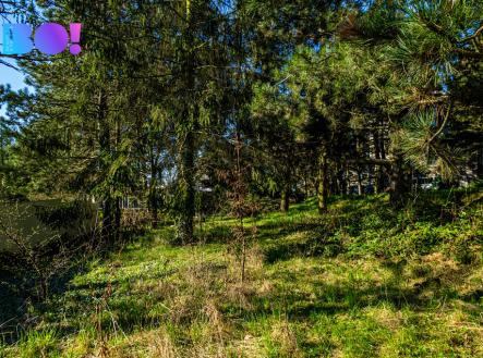dji-0166.jpeg | Prodej - pozemek pro bydlení, 1 243 m²