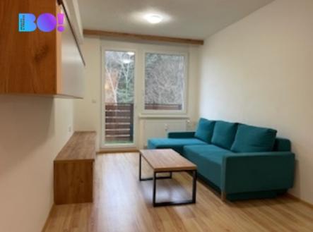 obyvaci-pokoj.jpg | Pronájem bytu, 2+1, 50 m²