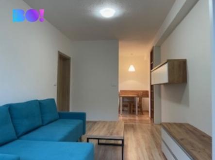 pohled-do-kuchyne.jpg | Pronájem bytu, 2+1, 50 m²