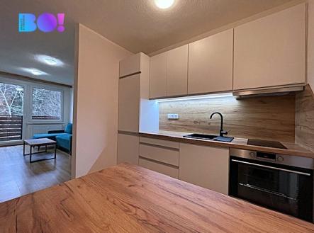 pohled-z-kuchyne1.jpeg | Pronájem bytu, 2+1, 50 m²