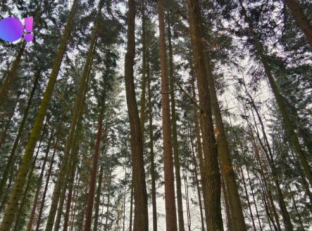 10.jpg | Prodej - pozemek, ostatní, 17 190 m²