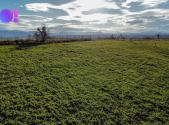 Prodej - pozemek pro bydlení, 4 357 m²