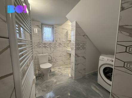 img-3420.jpeg | Pronájem bytu, 1+1, 249 m²