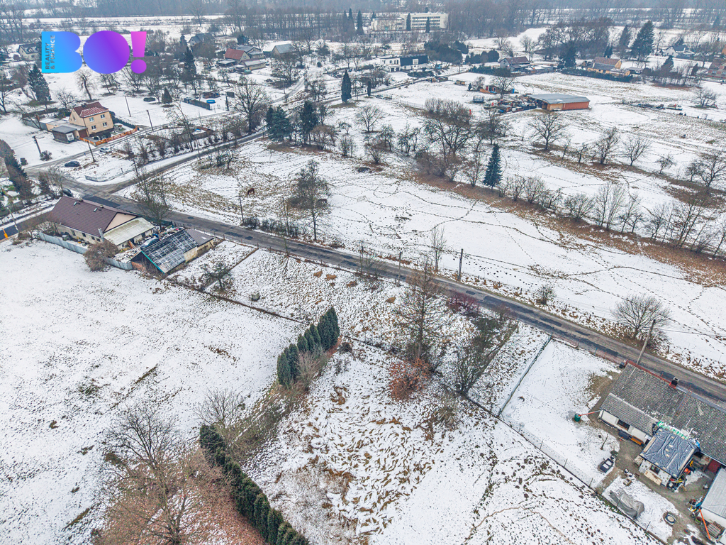 dji-0019.jpg