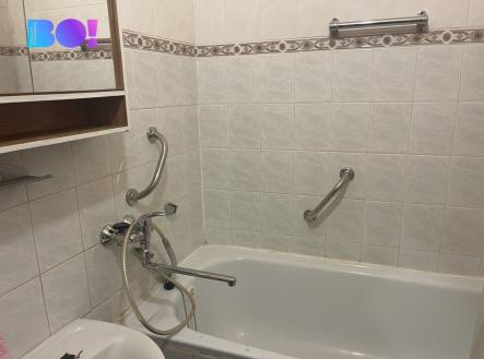 viber-image-2023-11-17-06-20-35-831.jpg | Pronájem bytu, 1+1, 51 m²