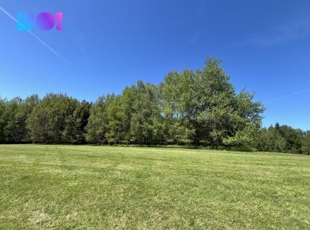 260526-les-2.jpg | Prodej - pozemek, les, 43 856 m²