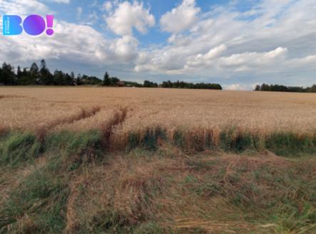 8083-foto4.png | Prodej - pozemek, zemědělská půda, 29 929 m²