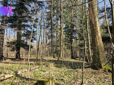 20260311-123943.jpg | Prodej - pozemek, les, 55 558 m²