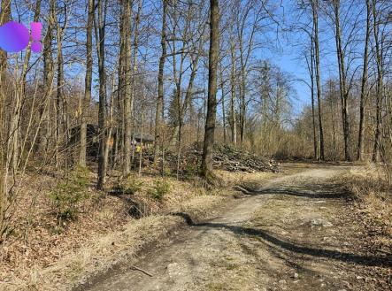 1000083550.jpg | Prodej - pozemek, les, 55 558 m²