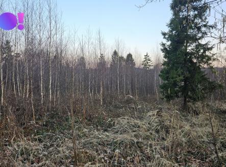 1000083365.jpg | Prodej - pozemek, les, 55 558 m²