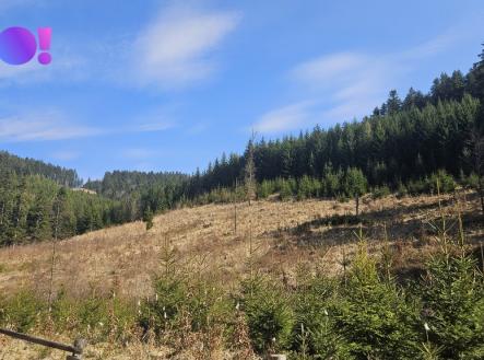 20260320-123620.jpg | Prodej - pozemek, les, 58 310 m²