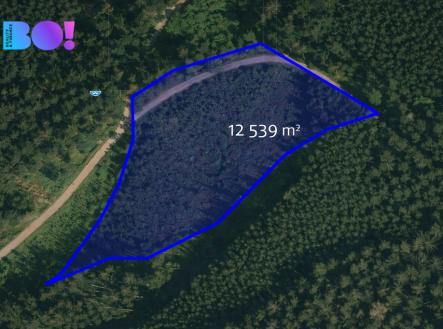 1171-14-vyzanceno.jpg | Prodej - pozemek, les, 58 310 m²