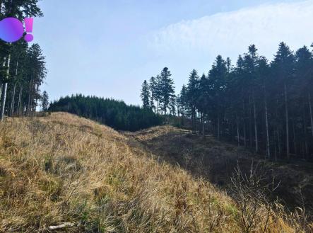 inzok.jpg | Prodej - pozemek, les, 58 310 m²