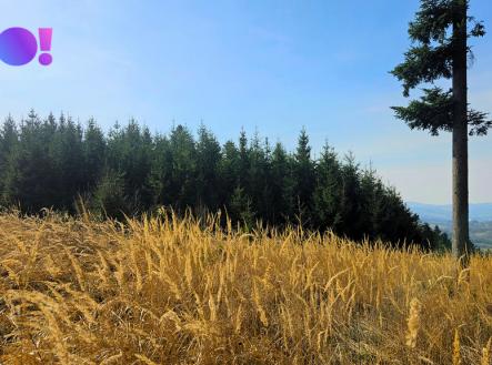 inzok1.jpg | Prodej - pozemek, les, 58 310 m²