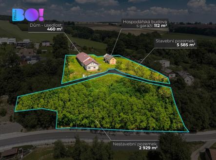 plesna-grafika-novy.jpg | Prodej - dům/vila, 460 m²