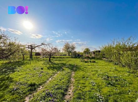 zahrada.png | Prodej - chata/rekreační objekt, 350 m²