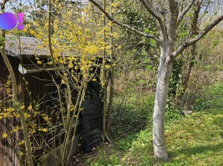 20260417-131551.jpg | Prodej - pozemek, zahrada, 376 m²