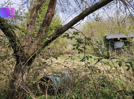 20260417-131808.jpg | Prodej - pozemek, zahrada, 376 m²