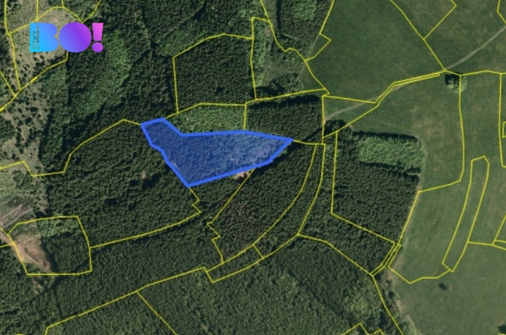 kat.map..jpg