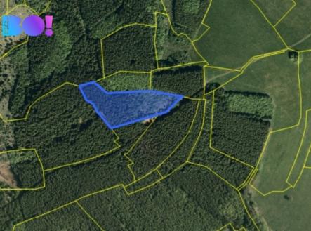kat.map..jpg | Prodej - pozemek, les, 6 240 m²