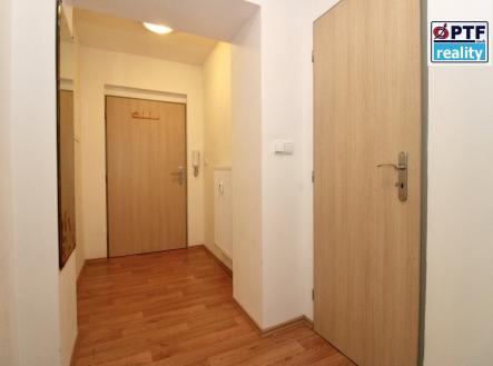 Pronájem byt 1+1 Plzeň Klatovská RK PTF reality David Choc realitní agent ve vašich službách | Pronájem bytu, 1+1, 35 m²