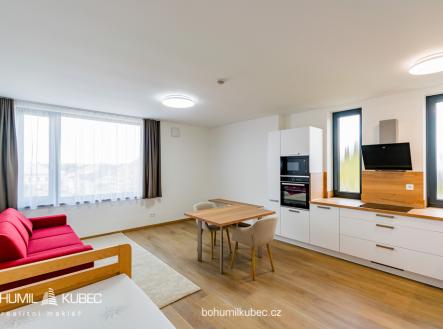 dsc-3.jpg | Pronájem bytu, 1+kk, 40 m²